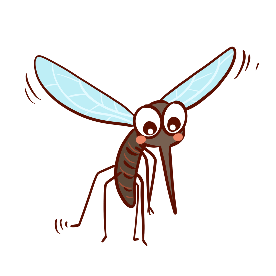 蚊子咬人过程
