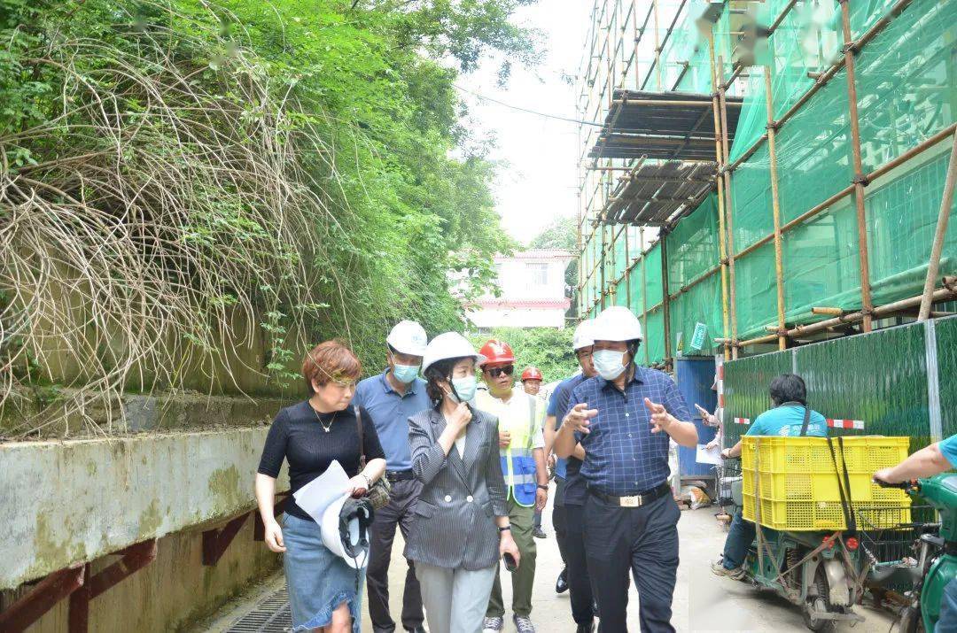 市政协来洪山区调研老旧小区改造工作