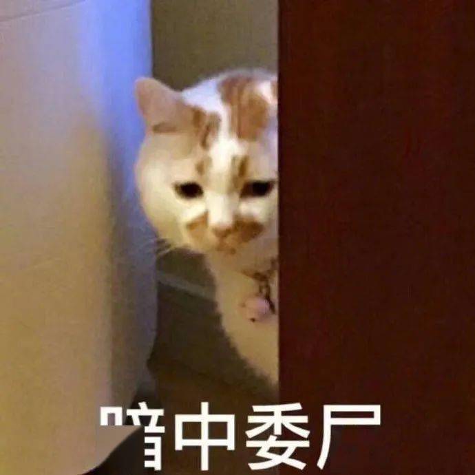 66大顺的壁纸/头像/表情/背景——!