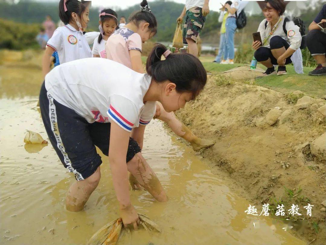 4麒麟小学三年级亲子春游,彩虹滑道/丛林探险/水上拓展/插秧/捉泥鳅