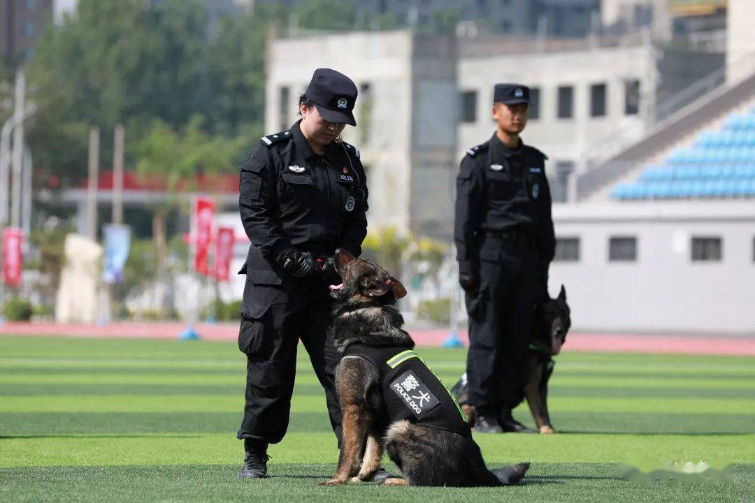 好有爱特警和萌娃携手为党庆生