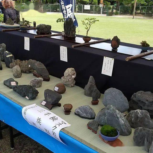 难得一见的日本水石展会欣赏!