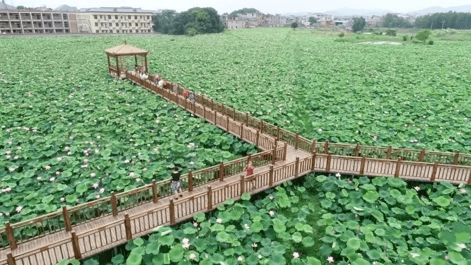 去年开始,徐埠镇在扩大集镇规模的同时,完善了水泥路面基础设施硬件