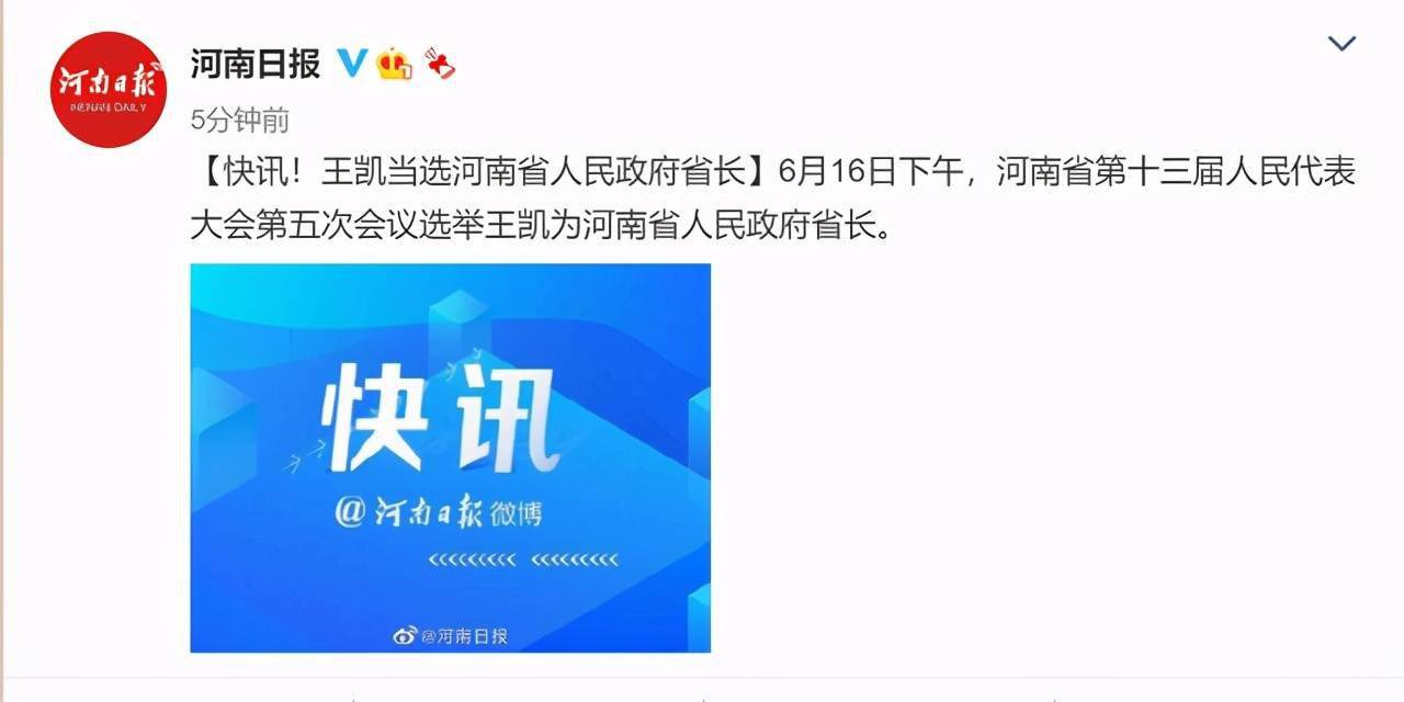 王凯当选河南省人民政府省长