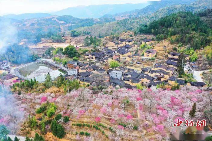 山乡旧貌换新颜 福建屏南的生态致富路_路下乡
