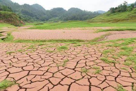 "恢复生态,保护土地,复苏经济" —— 2021年世界防治荒漠化与干旱日