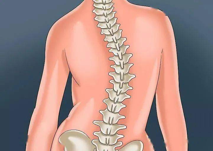 【健康提示】万万没想到!这种睡姿会导致脊柱侧弯