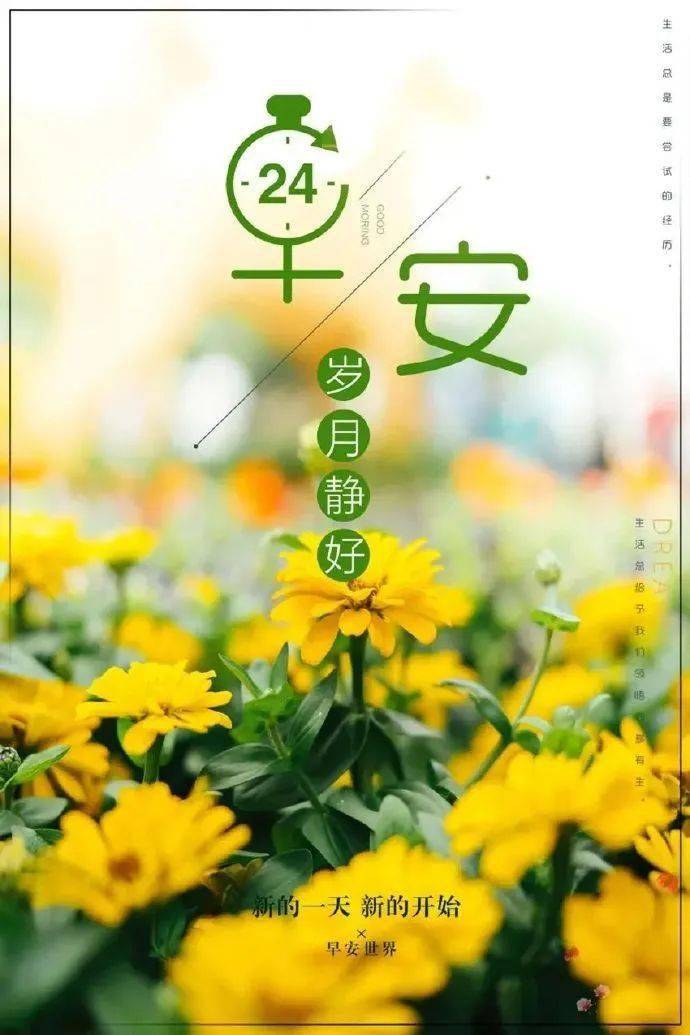 6月17日早安 | 新的一天,努力奋斗