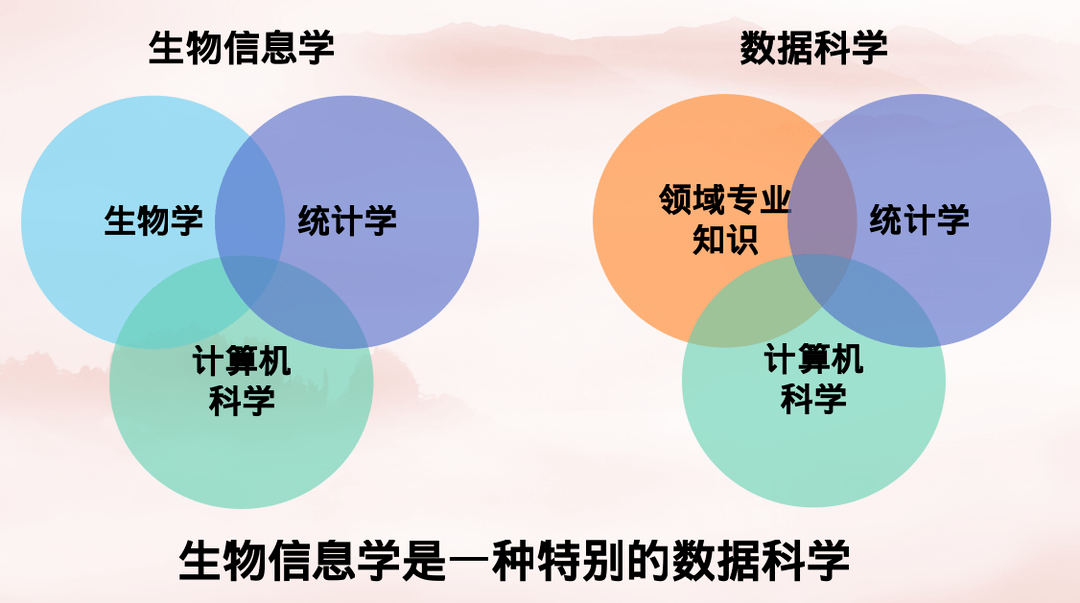 【国家一流专业巡礼】生物信息学:生命奥秘的"探寻者"