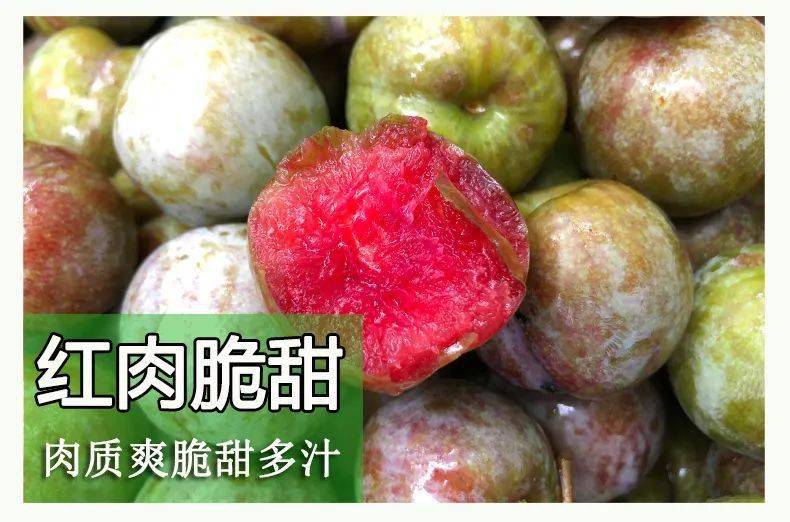 当季新品 5斤大果68元-原产地正宗韶关翁源县三华李/国家地理标志产品