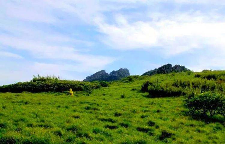 秦岭十二印象丨分水岭高山草甸6月26日丨东佛沟穿越东坪沟尽览秦岭