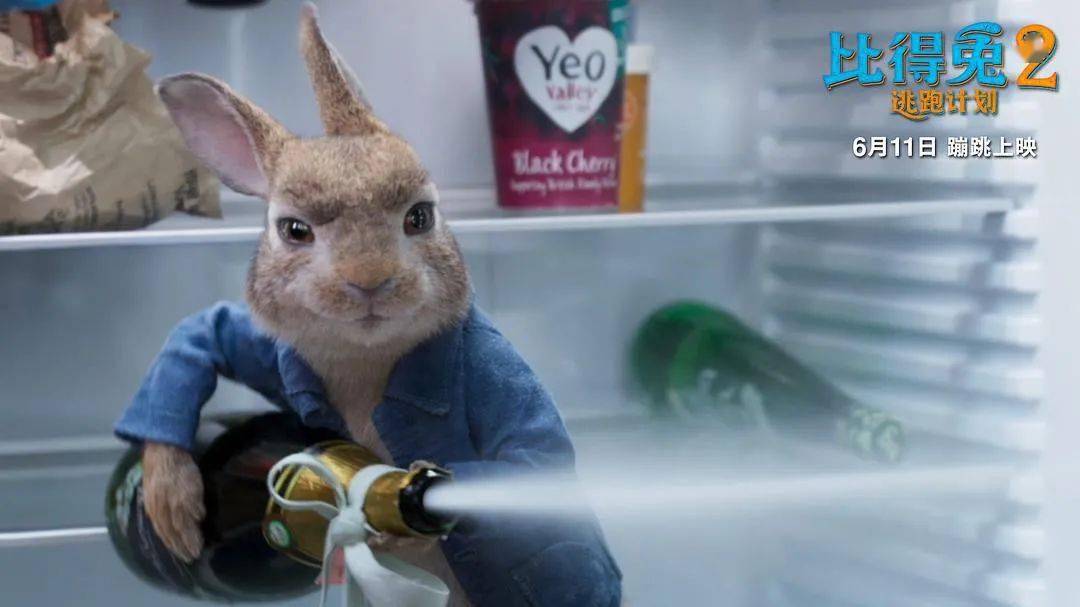 这只小兔子是今年夏天的欢乐源泉_电影