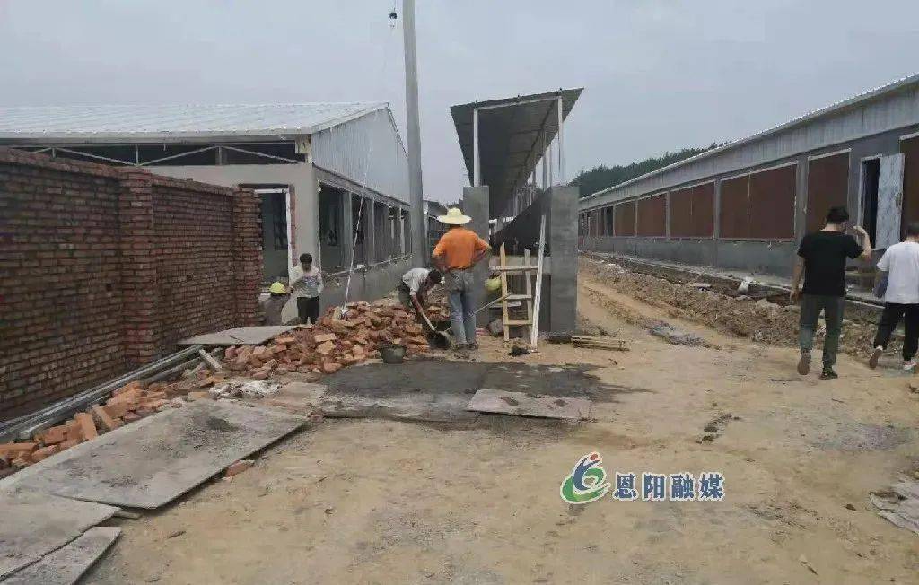 赶猪道正在修建中