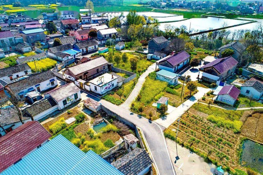 合肥总共33个安徽767个村被评为2021年度美丽乡村省级中心村