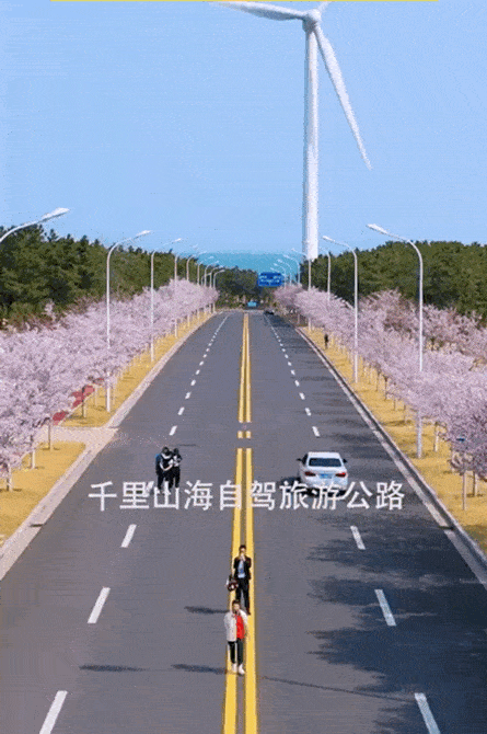 445_670 竖版 竖屏