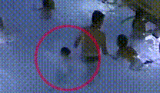 528_307gif 动态图 动图