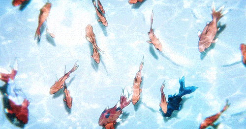 新光店今晚演出groovyfish鱼刺巡游姑苏城