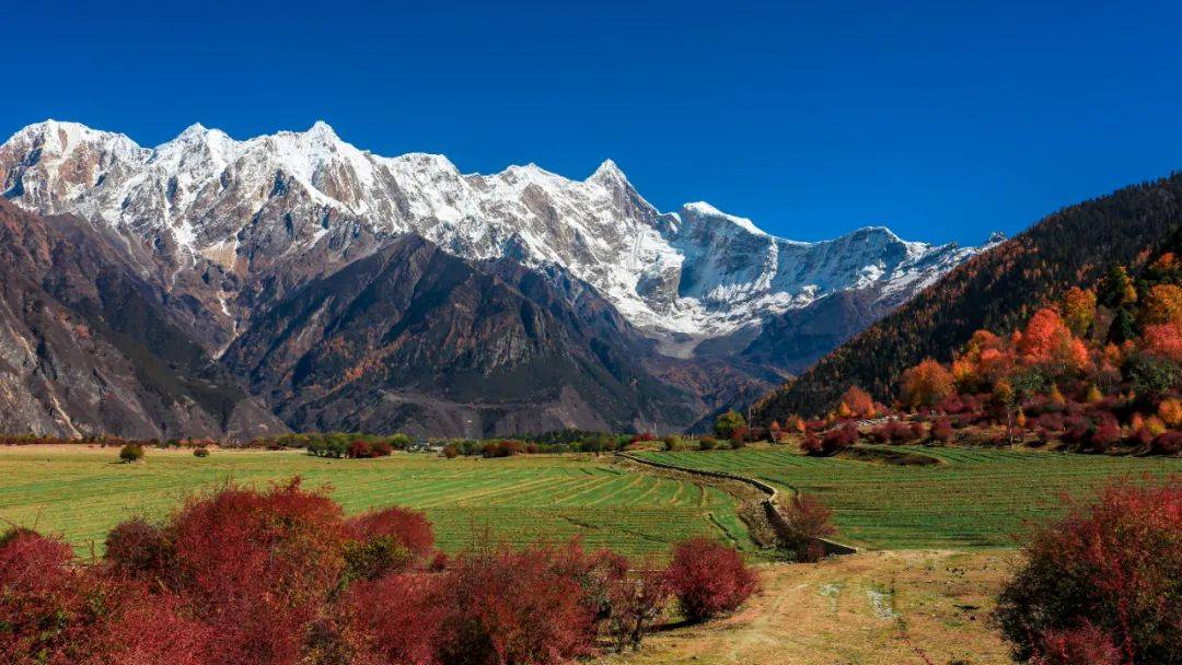 站—岗嘎站来源/西藏米林旅游岗嘎村位于米林县羌纳乡其周边有羌纳寺