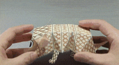 这才是折纸的最高境界!