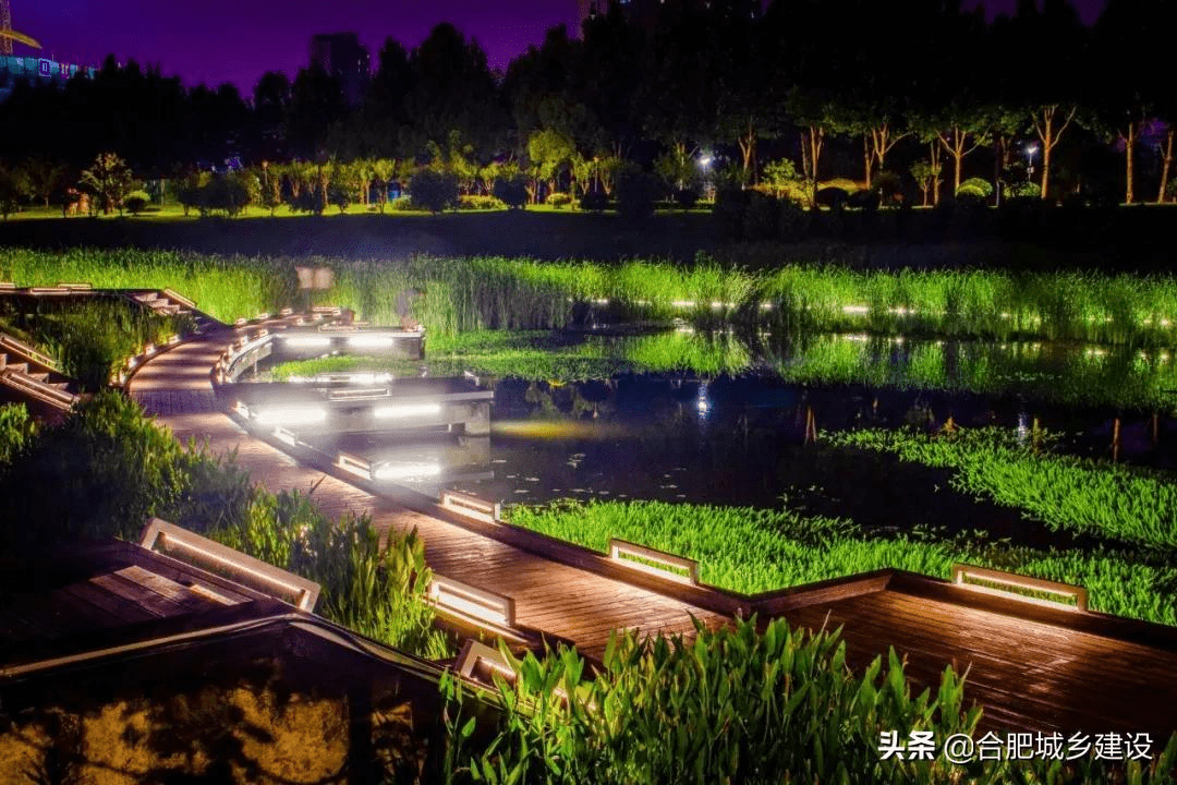 "灯光映碧水"四里河滨水生态公园夜景璀璨绽放