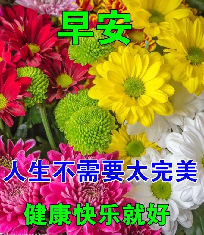 6月30日最漂亮早上好动态表情图片大全,早上好动图美图大全