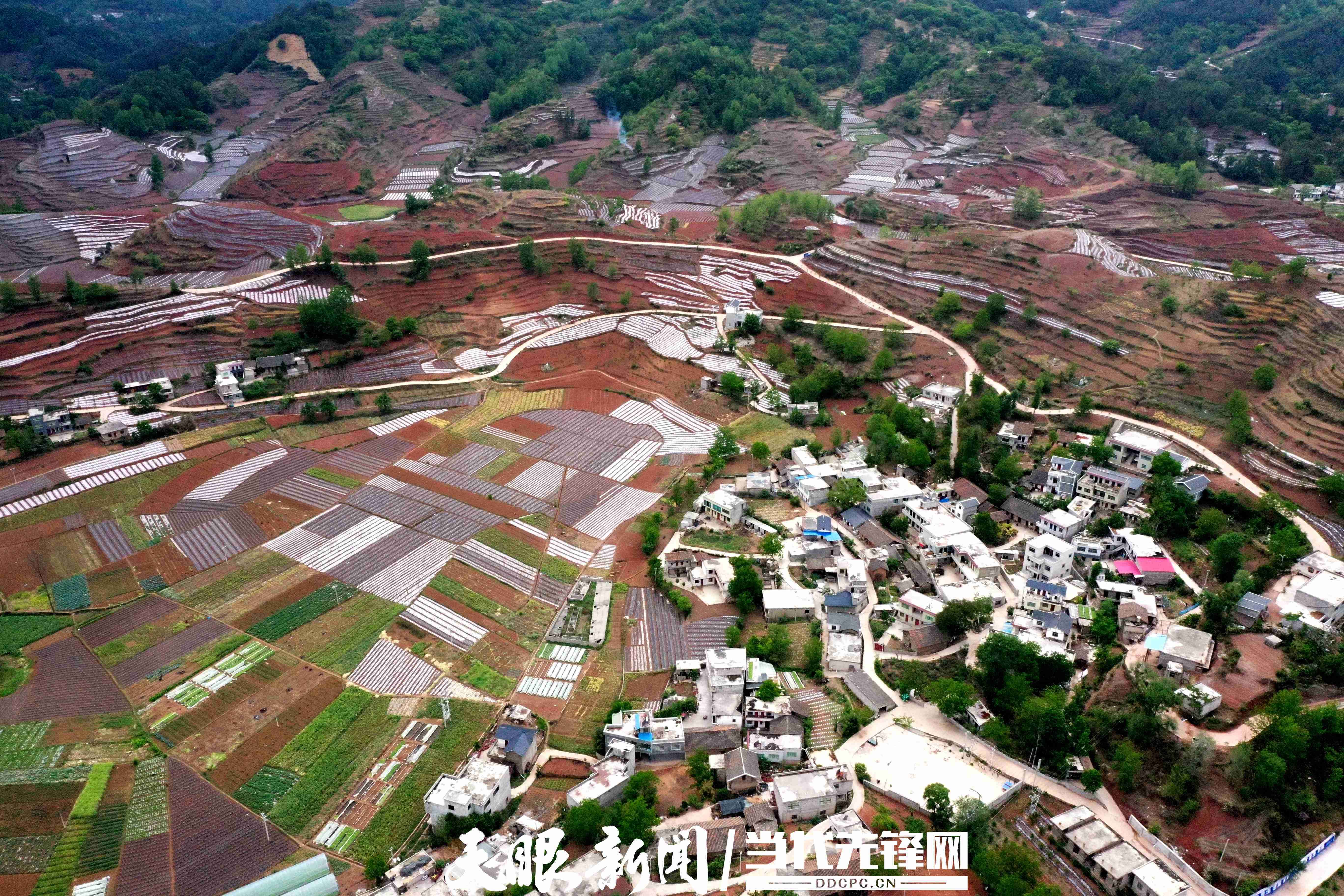 四名退伍兵 振兴双河村