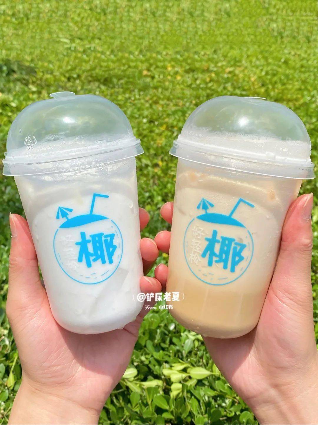 交代了这8款椰子季限定单品真的好椰
