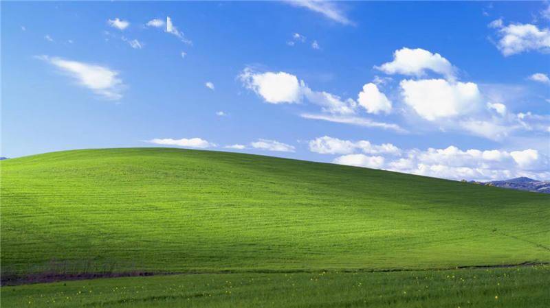 三男子重造微软 windows xp 经典壁纸,"蓝天白云绿草"