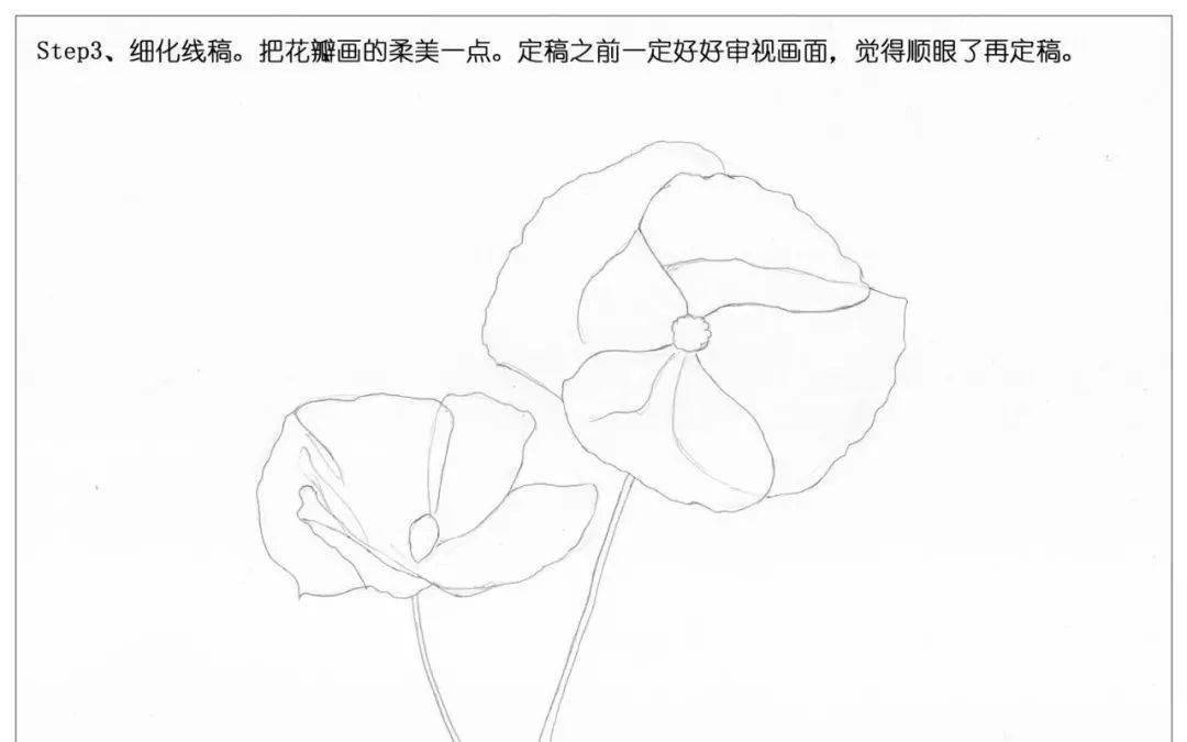 彩铅教程手绘鲜花红色罂粟花