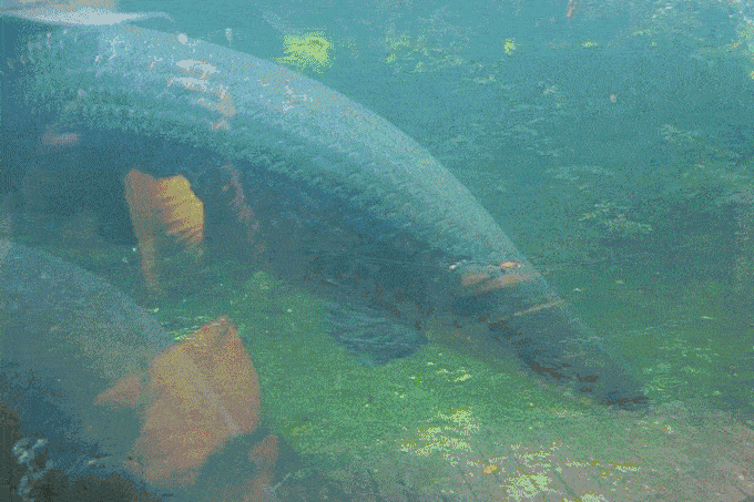 【门票·限500张】青青世界『1大1小亲子票』· 惊喜价29.9元起