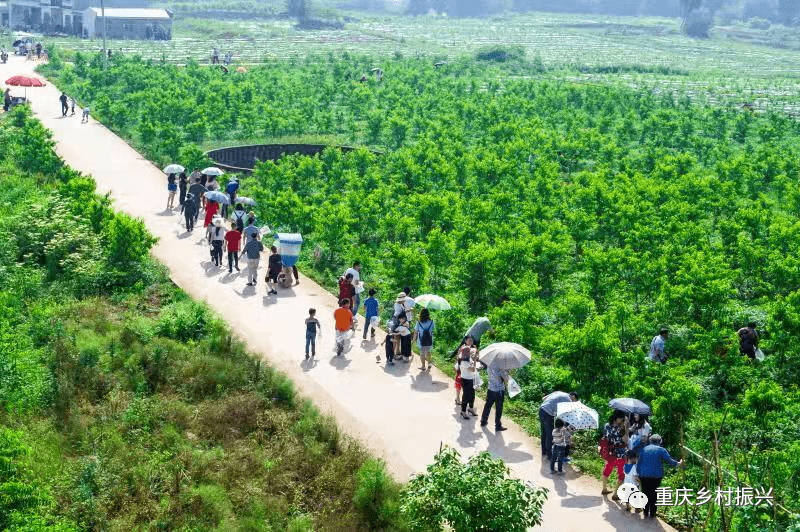 潼南区郭坡村四大着力点打造乡村振兴示范点