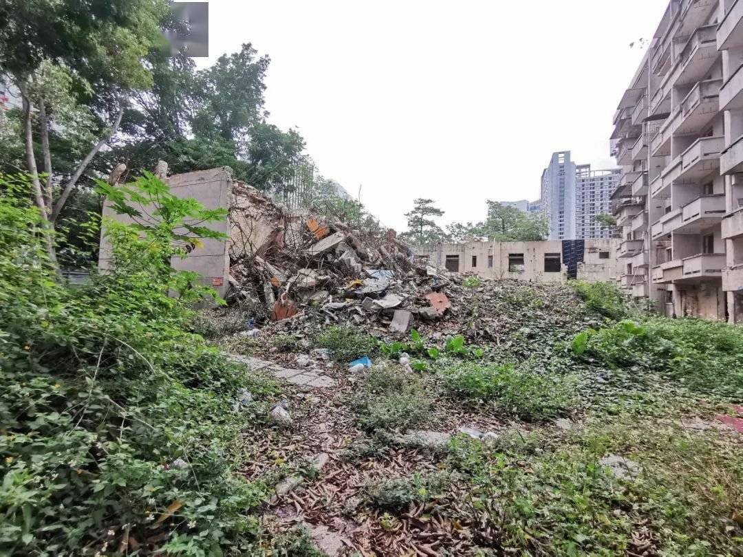 深圳南山旧改南苑新村万科重点项目旧改重启签约率95带南山实验学位