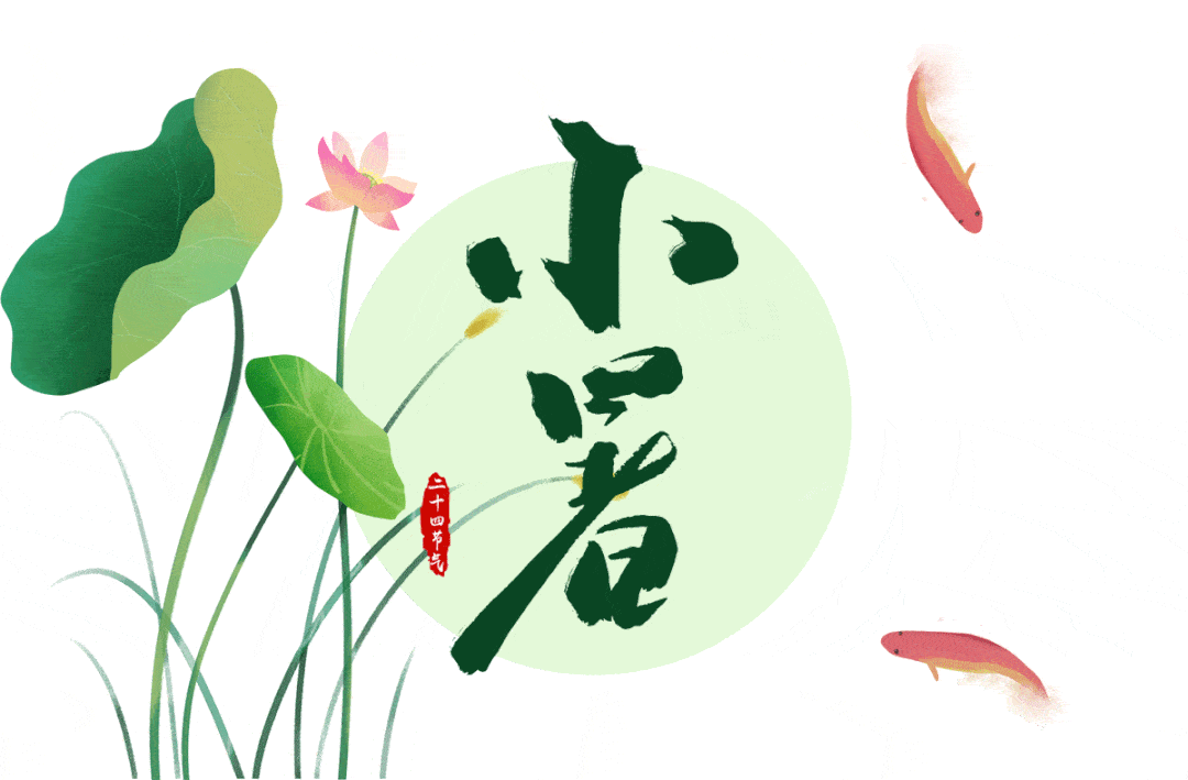跟着节气寻味京城农产品:小暑时节果蔬多