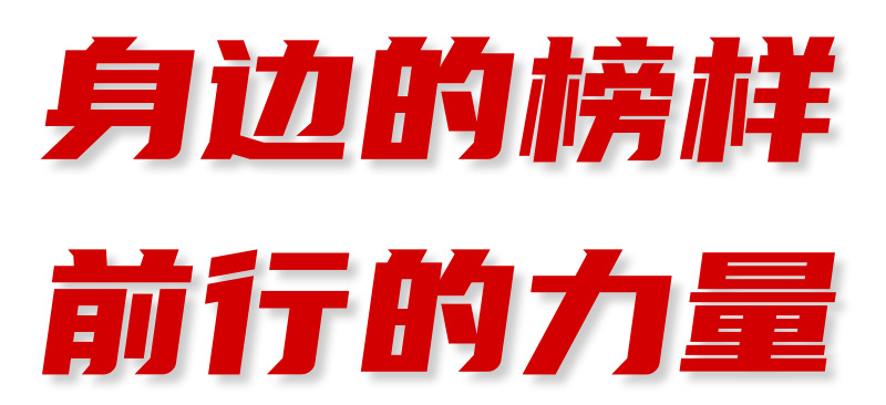 身边的榜样 前行的力量 | 许根萌:以文为伴践初心 忠诚勤勉担使命