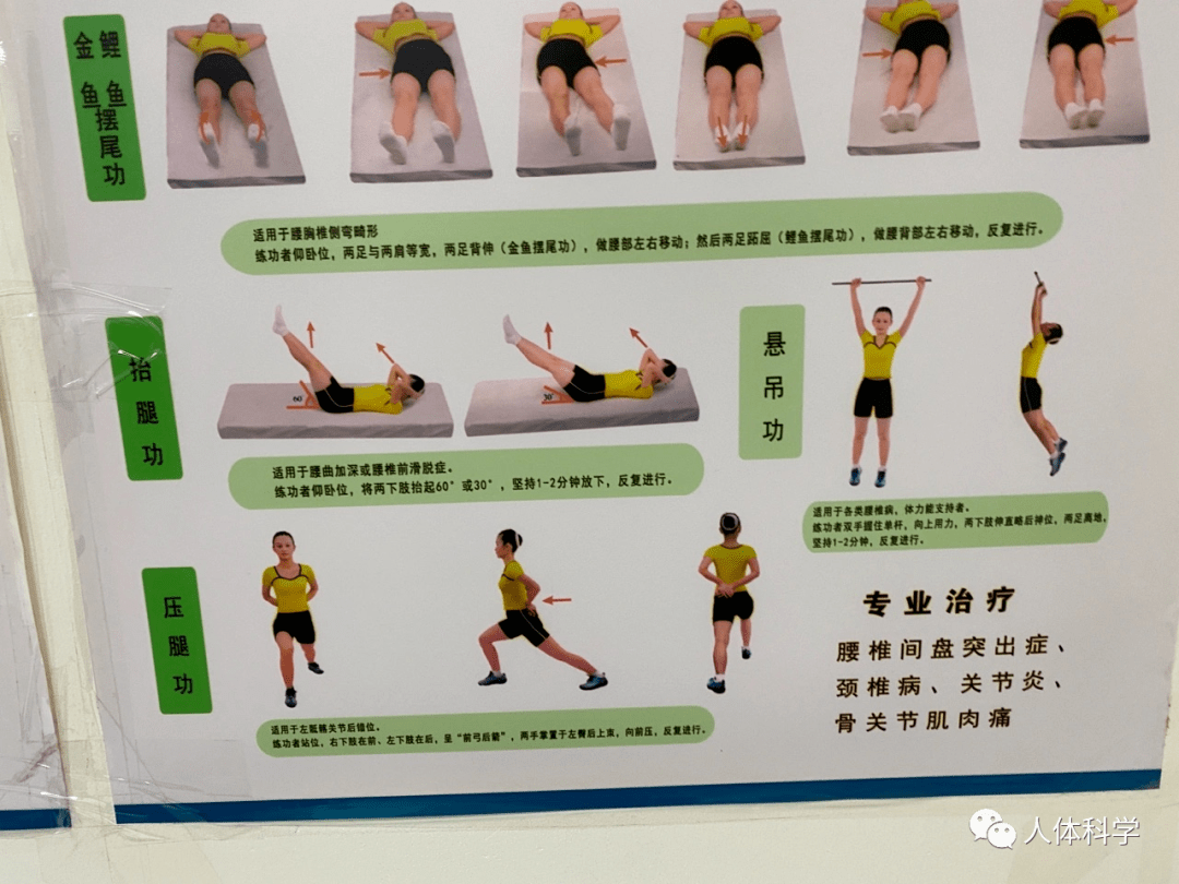 【体态管理】腰椎康复锻炼示范动作.