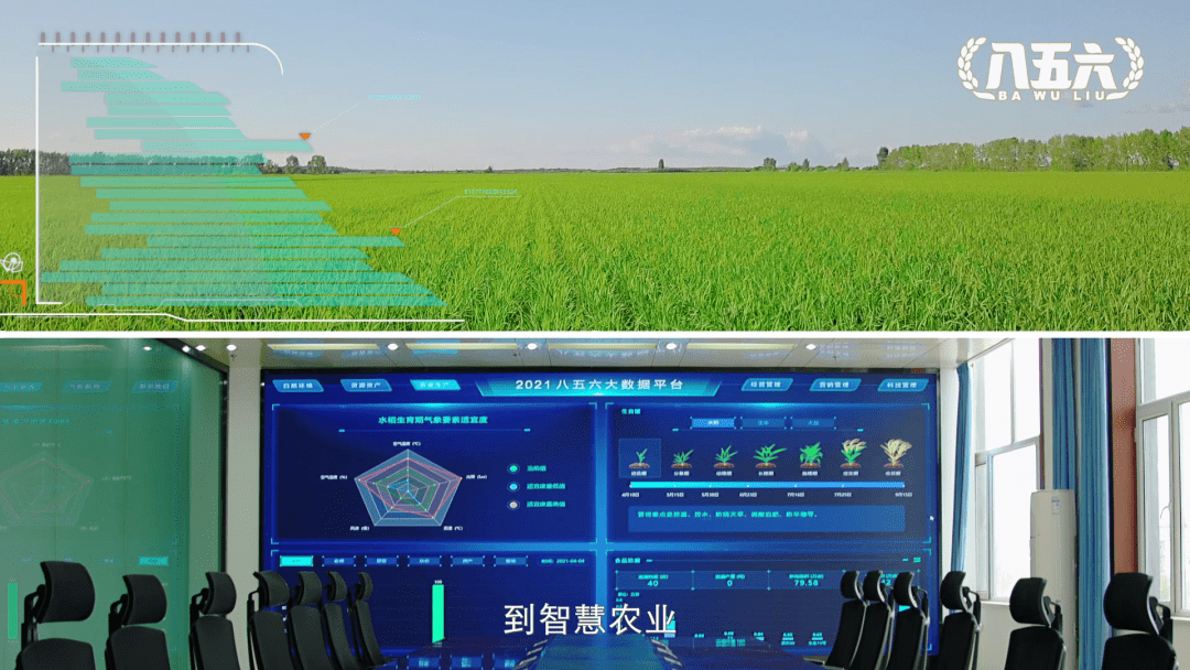 八五六·智慧农业丨数"聚"不凡 智创未来