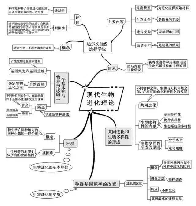 九科全!高中各科思维导图全汇总,高中的同学注意了!