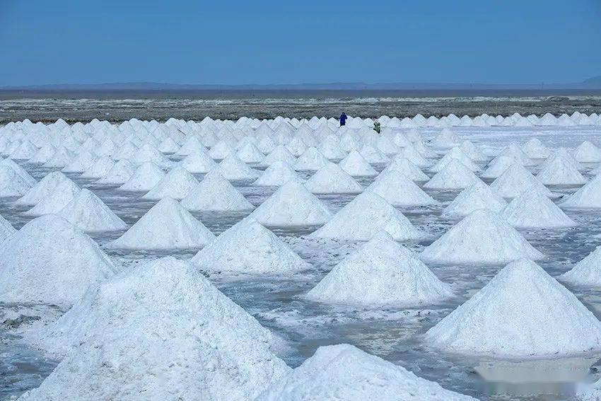 【图集】千堆"白雪"戈壁滩晒,高台盐田大丰收
