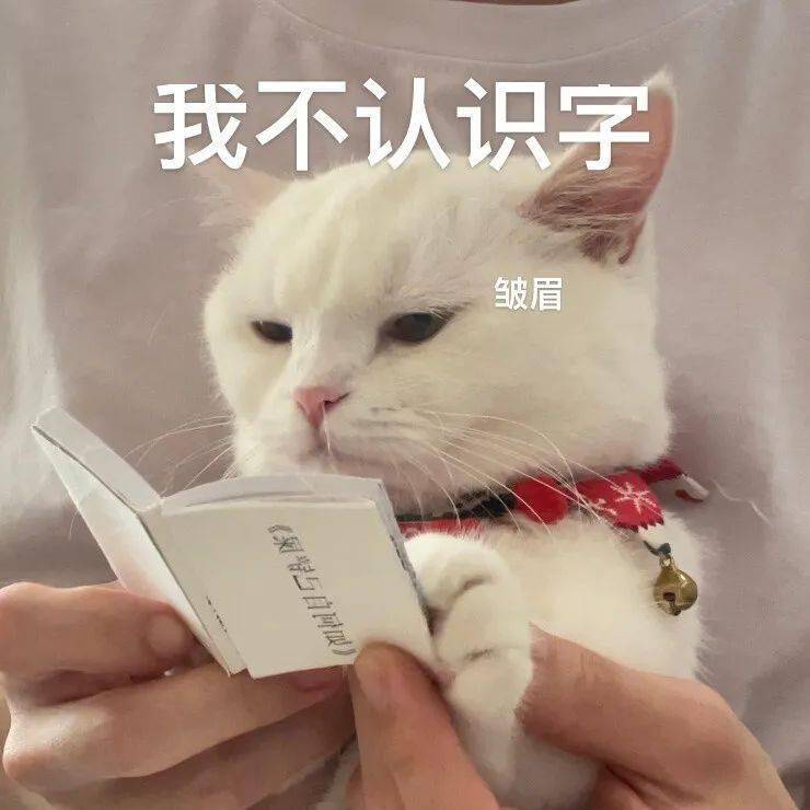 可爱猫猫猫猫头像表情包集体送上