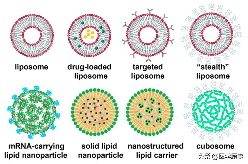 纳米脂质体技术从脂质体到mrna疫苗递送
