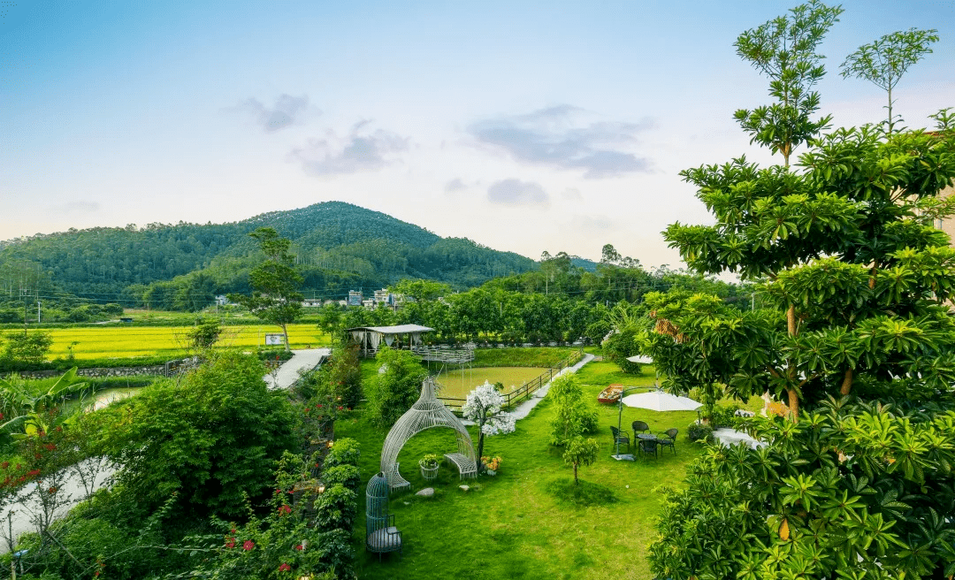 广州自驾1h,藏在增城这座稻田里的花园网红民宿,带娃野餐丨柒舍