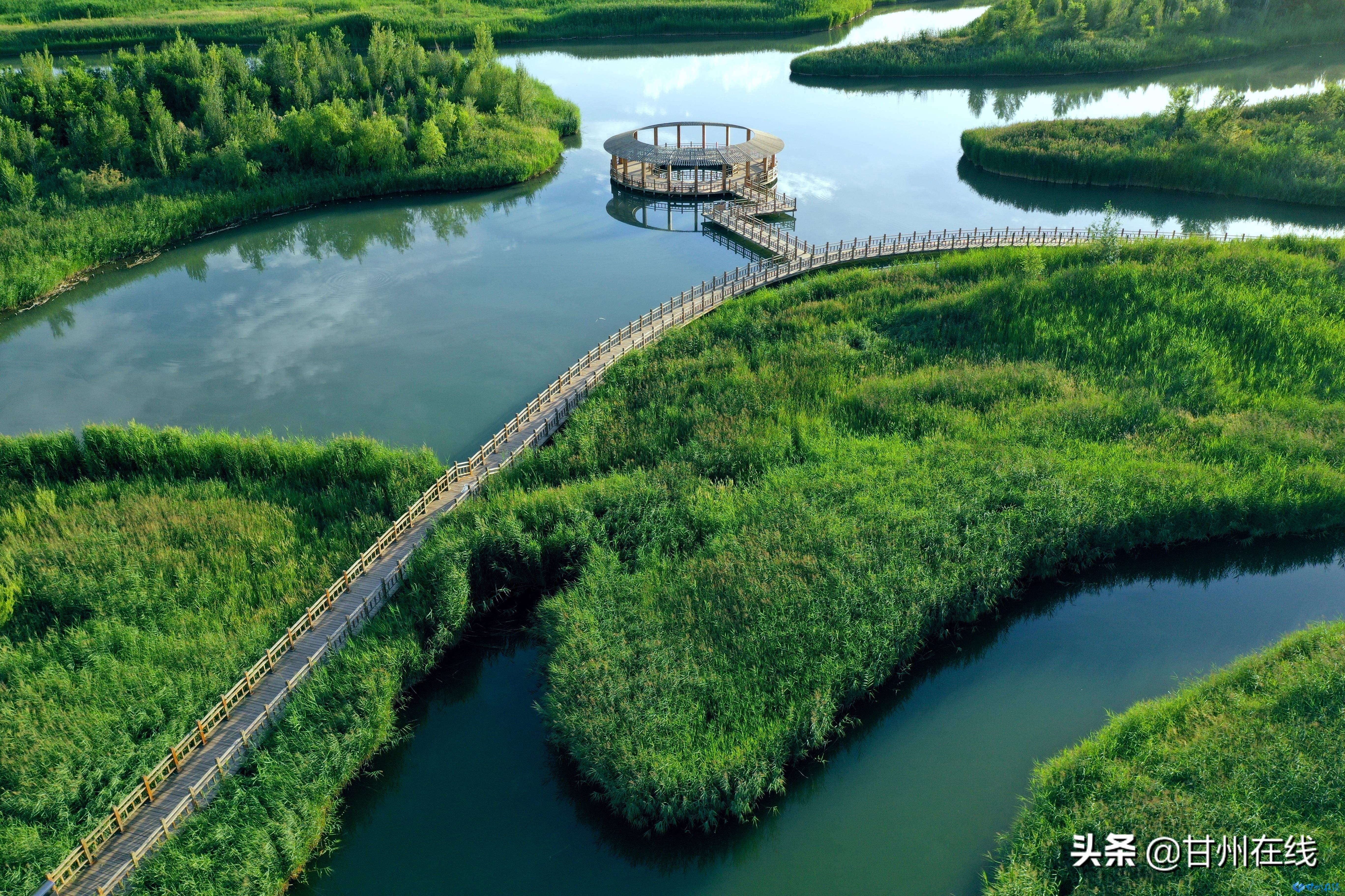 张掖甘州:大美湿地 拱卫城市的天然屏障和氧吧