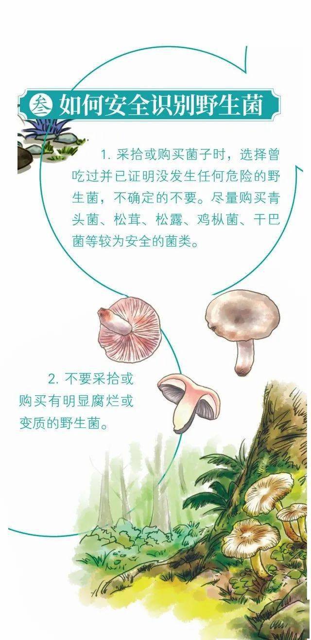 健康教育|预防野生菌中毒,这条知识请牢记!