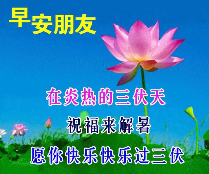 7月21日中伏最漂亮早上好动态表情图片大全,早晨好动图美图大全