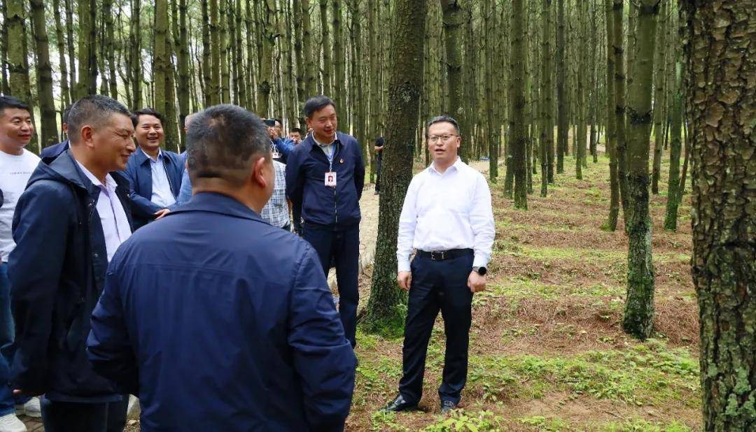 邓林带队观摩观风海镇沙子村林下经济产业园赤松茸种植基地