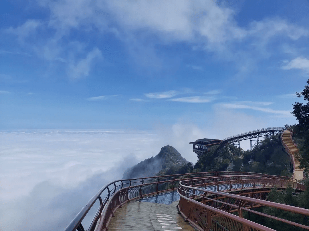 仙境之地!少华山雨后云海美到窒息