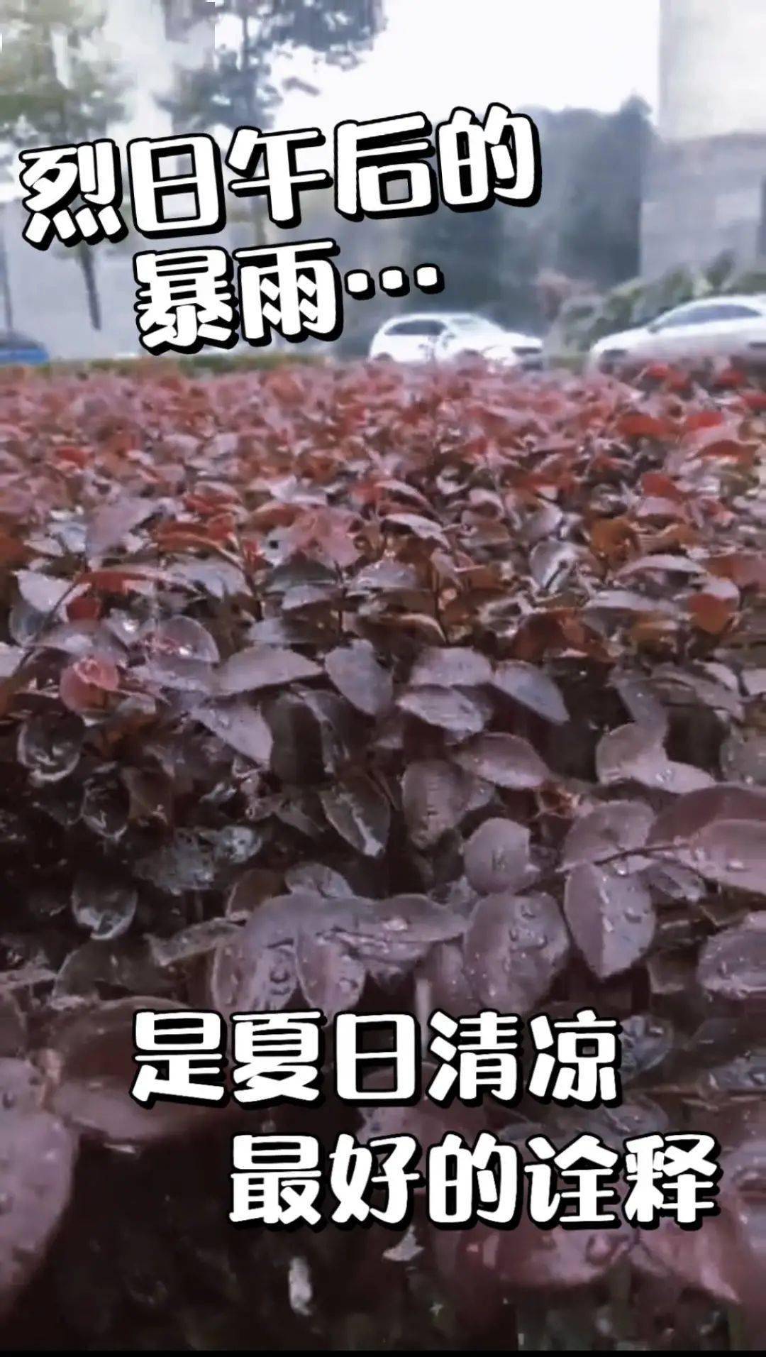 热浪后的暴雨