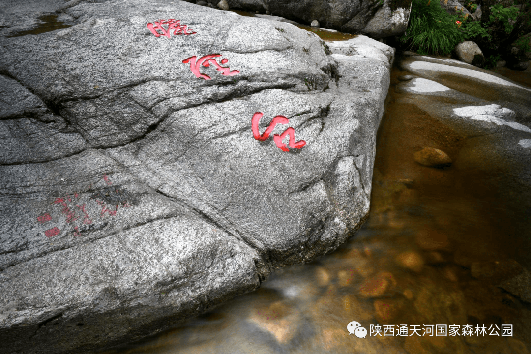 清凉宝鸡 | 通天河给你21℃的夏天