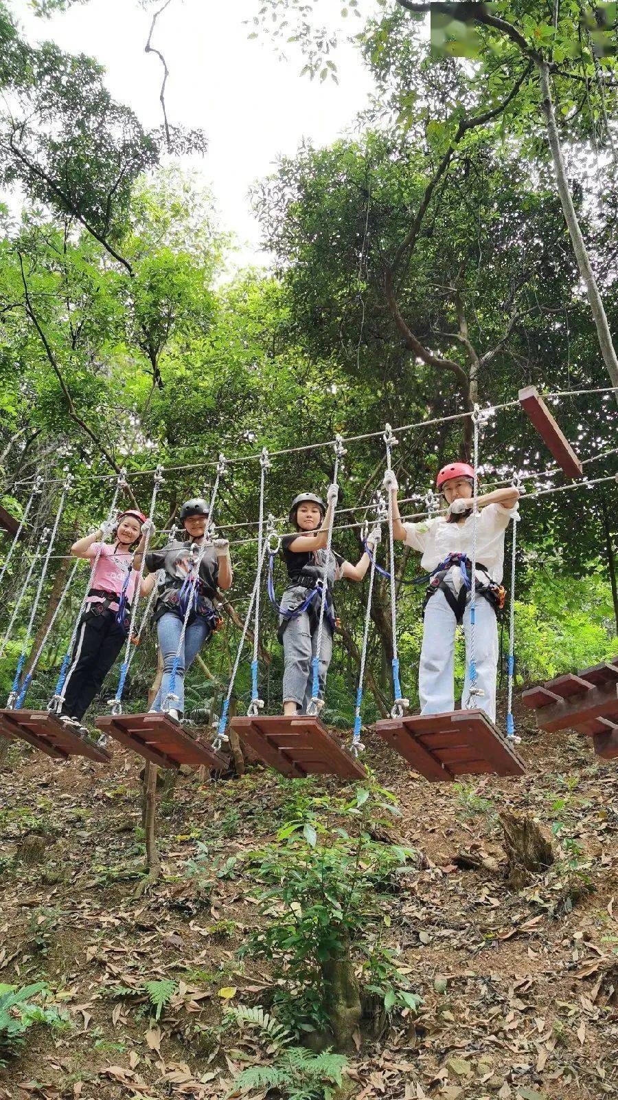 东莞耕山小寨99人秒杀龙眼现摘免费吃20项特色游乐350亩户外农场撒欢