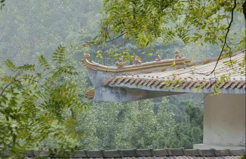 镇头寺镇头古寺位于宿州市埇桥区夹沟镇龙顶山下,以前也叫流沟寺,宿州